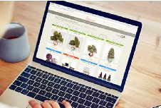 标志设计公司的基本要求及设计理念分别是什么？